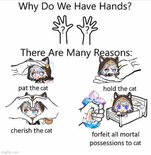 "Why Do We Have Hands" meme with Cipher from Honkai: Star Rail

Why Do We Have Hands?
There Are Many Reasons:

pat the cat
hold the cat
cherish the cat
forfeit all mortal possessions to cat
