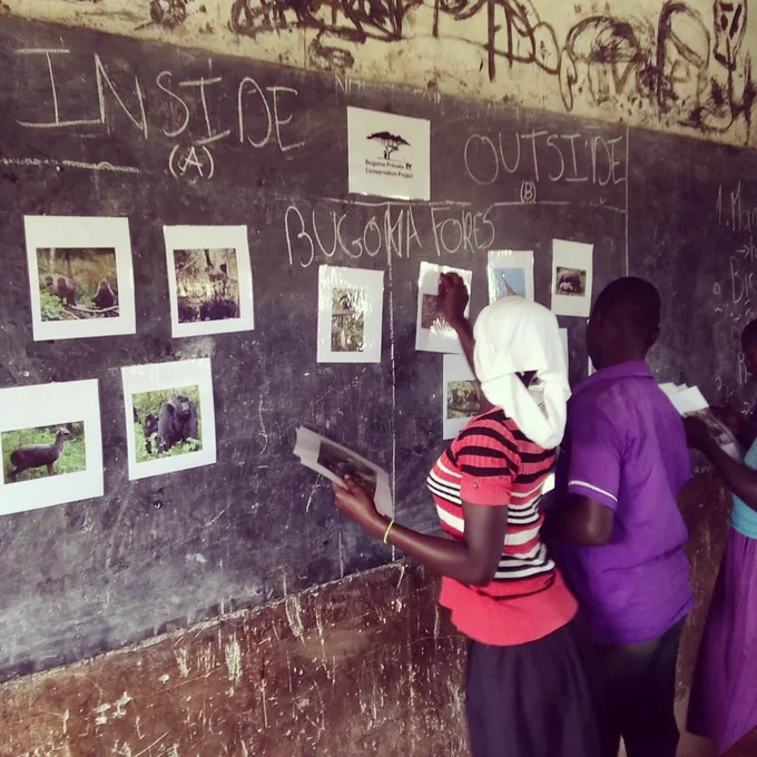 Two people stand in front of a blackboard in a school in Uganda sorting pictures of wildlife