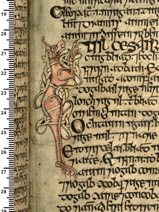 Detail from the manuscript focused on a zoomorphic decoration coloured with red ink. 