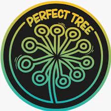 At Perfect Tree, we're a small group of passionate people who came together to create something special—handcrafted seeds. As growers, extractors, and collectors, we're always experimenting with the plant, driven by our love of finding the best genetics.
Over time, we've selected what we believe to be some of the finest strains from different seed banks and breeders around the world. We only keep the ones that truly stand out to us—the ones that wowed us with their terpene profile, resin production, and the unique feelings they evoke.
Our goal has always been simple: to create aromatic varieties that bring something new and exciting to those who appreciate the finer details. We work with seeds from modern hybrid varieties to grow plants that are truly one of a kind.
We offer feminized seeds so growers can experience the same rich flavors and qualities that we've fallen in love with. And for those who want to keep exploring, we also offer regular seeds to .  please check   link to shop.