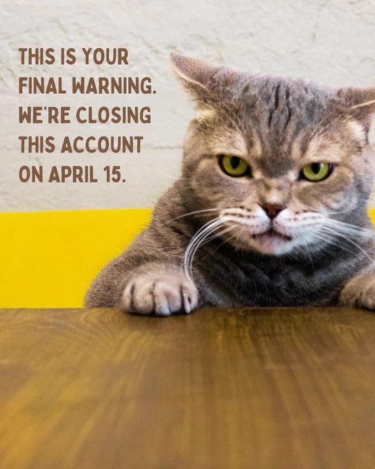 final warning