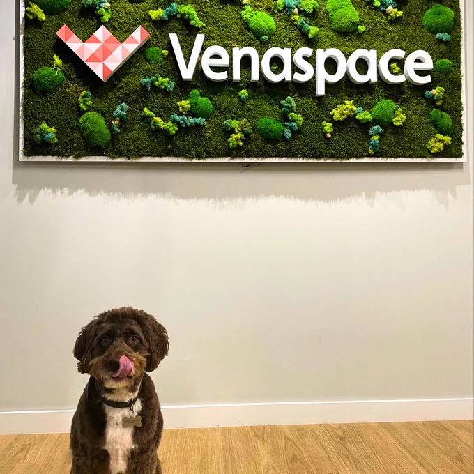 Dog-friednly workspaces, Office Space Bournemouth, Serviced Office Exeter, Meeting Rooms Exeter, Venaspace