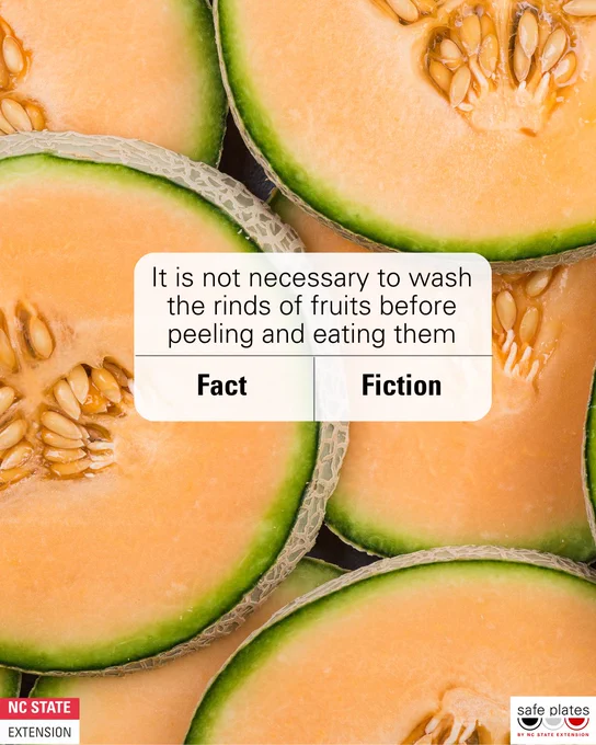 image content:
1/3: It is not necessary to wash the rinds of fruits before peeling and eating them. Fact or fiction?
2/3: Fiction
3/3: Even though we don’t eat the rinds on fruits like cantaloupes, oranges or pineapples it is still best practice to wash them before cutting or peeling them. Fruits can carry dirt, dust, or other contaminants on their surface, which can be transferred to your hands and then to the fruit. As you cut through the rind, harmful bacteria on the surface can be dragged down with the knife and contaminate the edible part of the fruit.