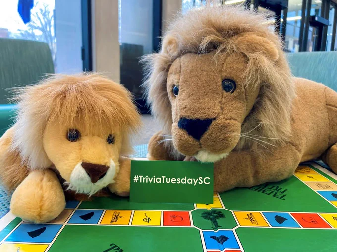 The lions Sol and Edgar are playing a South Carolina Trivia Board game.