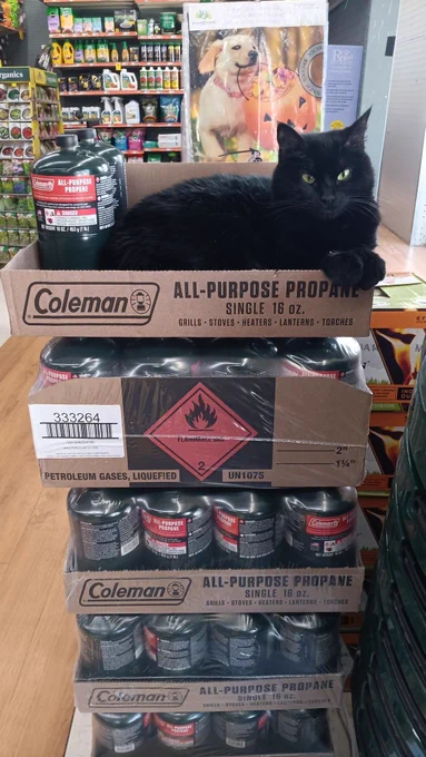 A black cat sleeps atop a stack of propane bottles.