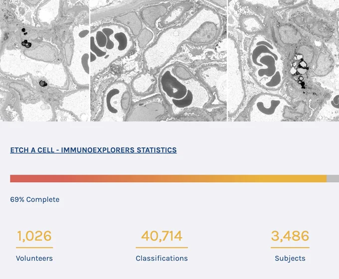 This image shows a screen grab of the Etch A Cell - ImmunoExplorers project page. You can see images of cells and the statistics mentioned in the post. 