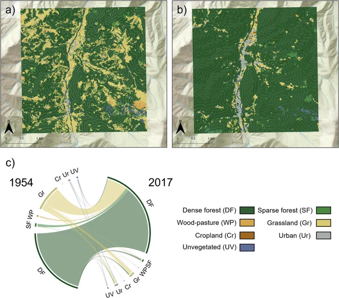 Land-use/land-cover maps for 1954 (a) and 2017 (b). The chord diagram (c) shows the percentage between land-use/land-cover classes in 1954 (left) and 2017 (right). DF = dense forest, SF = sparse forest, WP = wood-pasture, Gr = grassland, Cr = cropland, Ur = urban, UV = unvegetated. Basemap powered by ESRI, ESRI standard.
