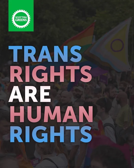 Text reads 'trans rights are human rights'