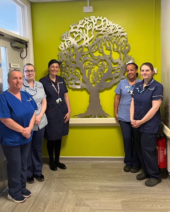 Photo of Scarbrough Ward colleagues with the memory tree