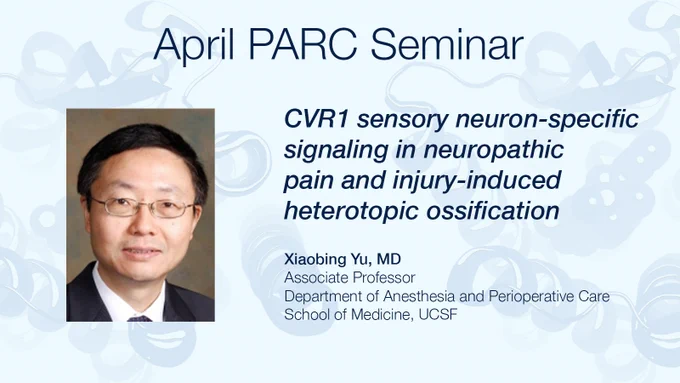 April PARC Seminar: ACVR1 sensory neuron-specific signaling in neuropathic pain and injury-induced heterotopic ossification, presented by Xiaobing Yu, MD.
