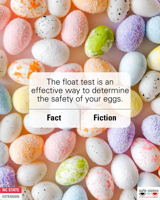 image content: 1/4: The float test is an effective way to determine the safety of your eggs. Fact or Fiction?
2/3: Fiction
3/3: The float test will not tell you any significant safety information. Best practice for fresh eggs is to refrigerate them. If left at room temperature or higher there is an increased risk for rapid growth of Salmonella enteriditis.
4/4: Important reminder: Eggs containing harmful levels of pathogens do not spoil or “go bad” in the same way. Pathogens that can't be smelled, seen, or tasted, are present can still grow. It is recommended to cook eggs to160 F.