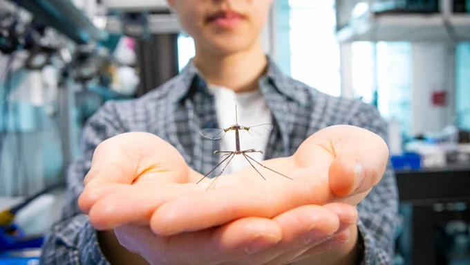 Student holding out RoboBee in his hands