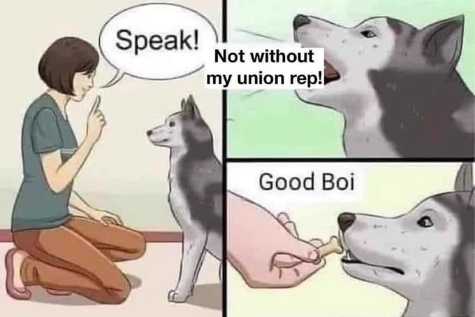 Three panel cartoon drawing with a woman and a dog. The first panel shows a woman kneeling in front of her dog saying speak. The second panel the dog says "not without my union rep". The third panel the woman says "good boi" and gives a treat to the dog.