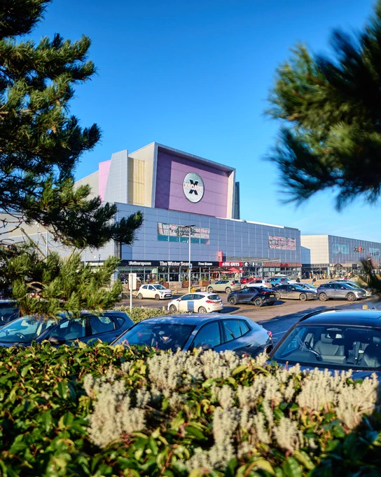 View of a busy parking lot, framed by green foliage in the foreground, under a clear blue sky.