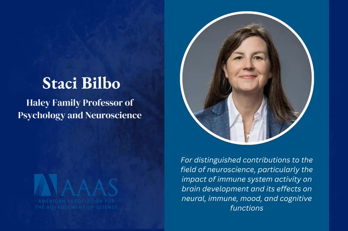 Staci Bilbo received the AAAS Fellowship for distinguished contributions to the field of neuroscience, particularly the impact of immune system activity on brain development and its effects on neural, immune, mood, and cognitive functions.