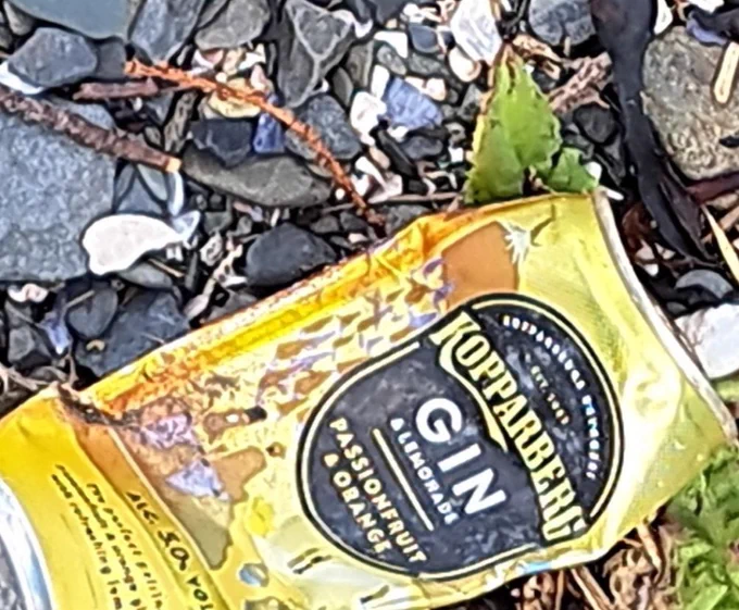 Aluminium can pictured on the shore 