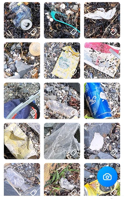 A collage of littered items lifted from the shoreline and bay