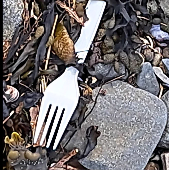 Plastic fork pictured on the shoreline