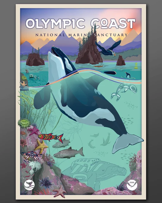 Graphic illustration of the Olympic Coast National Marine Sanctuary commemorative poster.