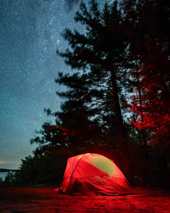 A glowing tent under a starry sky surrounded by pine trees at night.