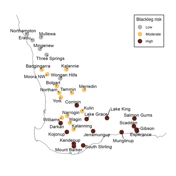 Blackleg risk forecast for WA on 28 April 2025