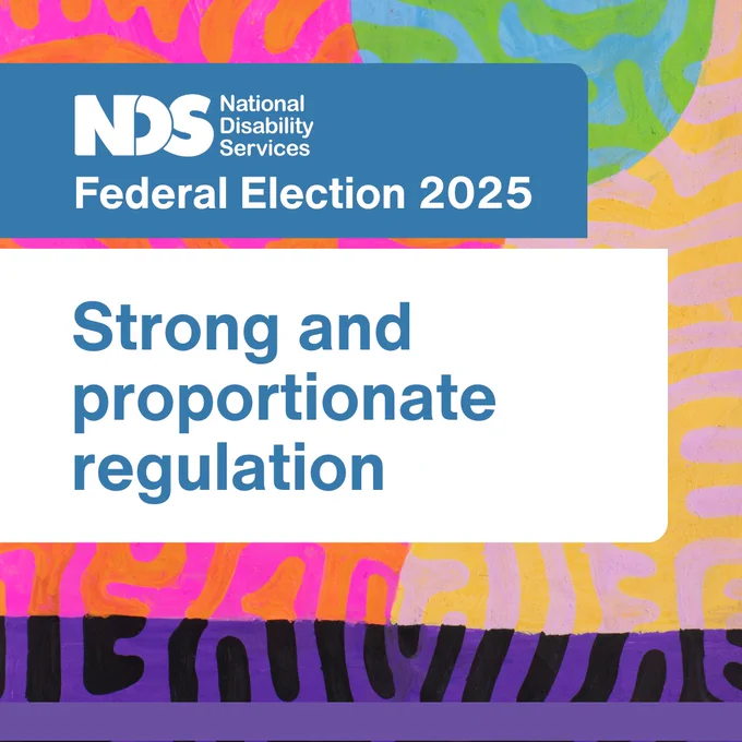 Organic lines with colour combinations of pink and orange, blue and green, yellow and pink, and purple and black. White square on left-hand side has NDS logo and blue text reading Priorities for the 2025 Federal Election.