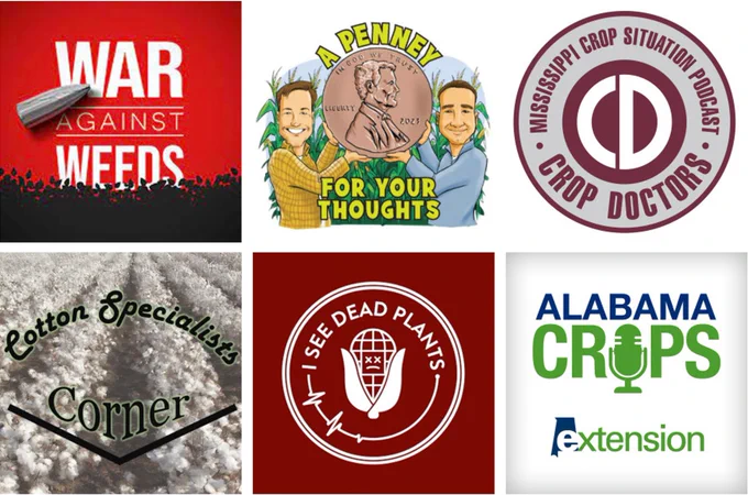 Podcast logos lined up in two rows.