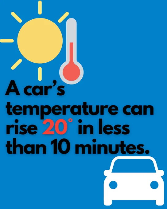 Illustration showing the sun and a thermometer above a car with text that reads, "A car's temperature can rise 20° in less than 10 minutes." The background is blue.