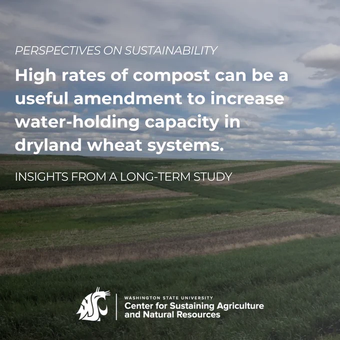 Rolling hills with green dryland wheat and a blue sky with white fluffy clouds.  Overlaid in white font are the words "high rates of compost can be a useful amendment to increase water-holding capacity in dryland wheat systems: insights from a long-term study."