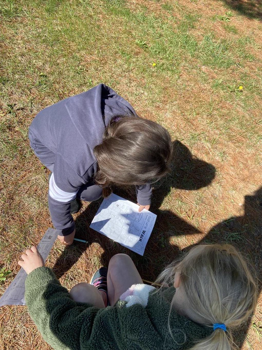 recording their findings