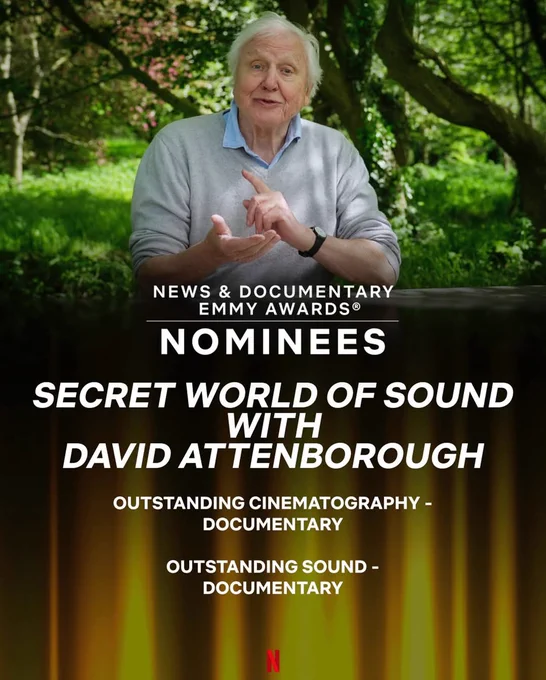 A picture of Sir David Attenborough with trees in the background. Text reads: News and documentary Emmy Awards. Nominees. secret World of sound with David Attenborough. Outstanding cinematography - documentary. Outstanding Sound - documentary.