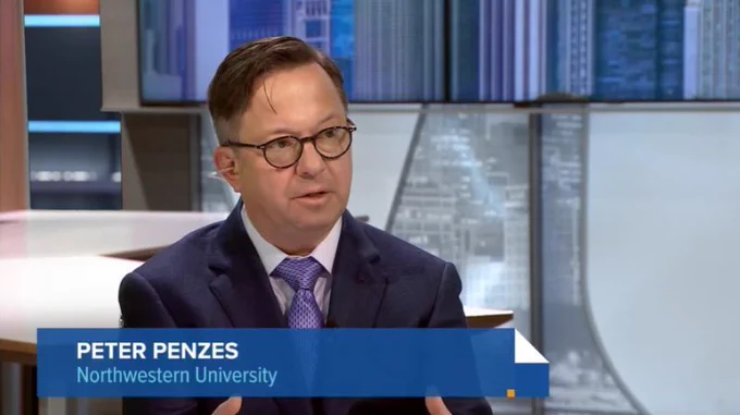 Peter Penzes, PhD, director of the Center for Autism and Neurodevelopment and professor of Neuroscience at Northwestern University, speaks during a televised interview.