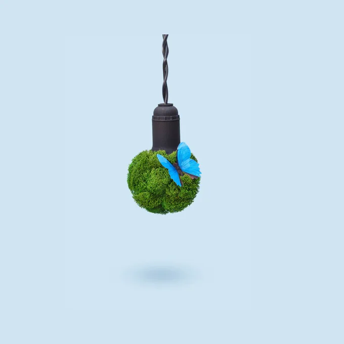 A lightbulb covered with green trees and a blue butterfly.