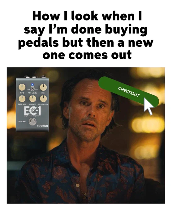 Meme featuring a puzzled expression on the face of actor Walton Goggins with a Strymon effect pedal shown above and a caption that reads, "How I look when I say I’m done buying pedals but then a new one comes out." A graphic of a checkout button with an arrow pointing to it is also included.