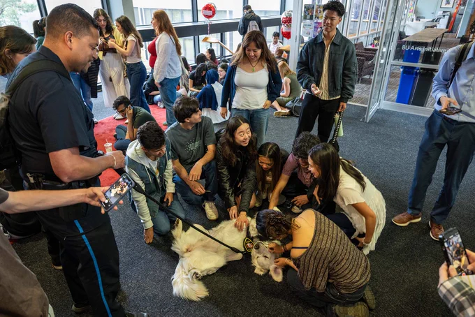 Photo: A group of people are gathered around a white dog lying on the floor. Some individuals are petting the dog while others are standing and observing. The scene appears to be indoors, possibly in a public or communal space with large windows in the background.