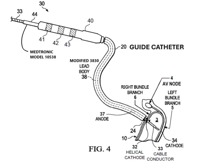 Patent No,: 12,274,876
