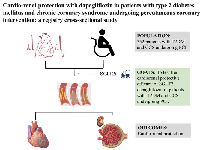 https://cardiab.biomedcentral.com/articles/10.1186/s12933-025-02678-9