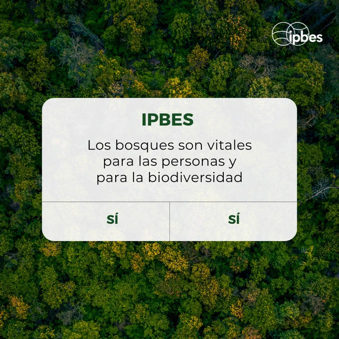 Una ventana emergente blanca con el texto: “Evaluación de la Degradación de la Tierra de IPBES. Un mundo sin bosques sería un mundo sin biodiversidad”, sobre una imagen de un bosque verde oscuro. Debajo del texto aparecen dos campos "clicables" que dicen “Entendido.”