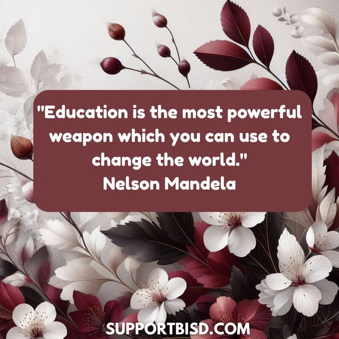 education quote
