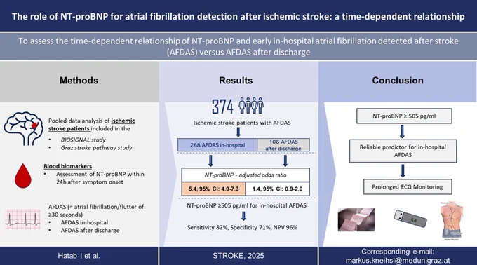 Graphic abstract in Hatab and Kneihsl et al.