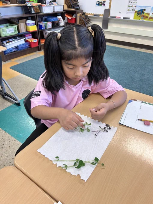 sorting microgreens
