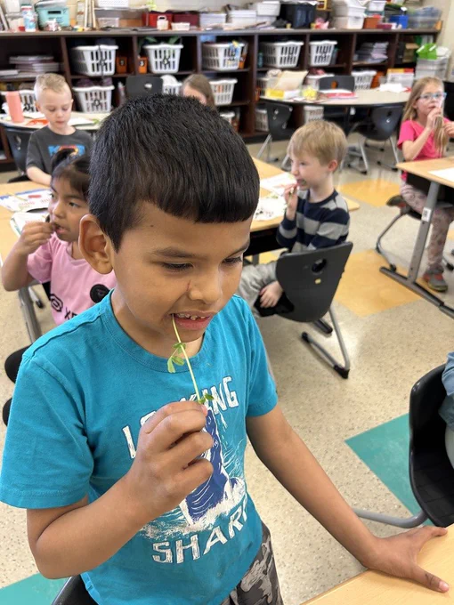 tasting microgreens