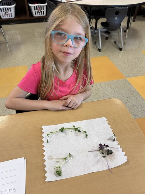 sorting microgreens
