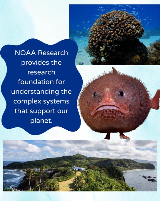 collage of images of coral, a deepsea pink fish, and the global monitoring lab's American Samoa station 