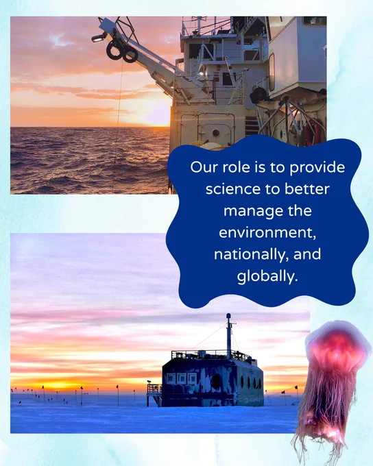 collage of images of deepsea jellyfish, sunset at the NOAA south pole observatory, and sunset from the side of a ship during a research cruise