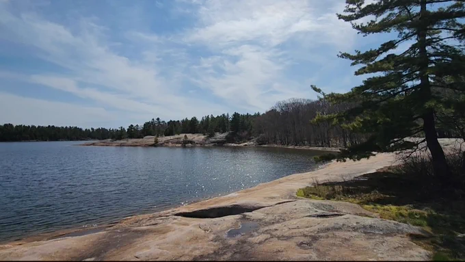 Scenic view from Georgian Bay at Killbear Provincial Park featuring a rocky shoreline and surrounding pine trees under a clear sky.
