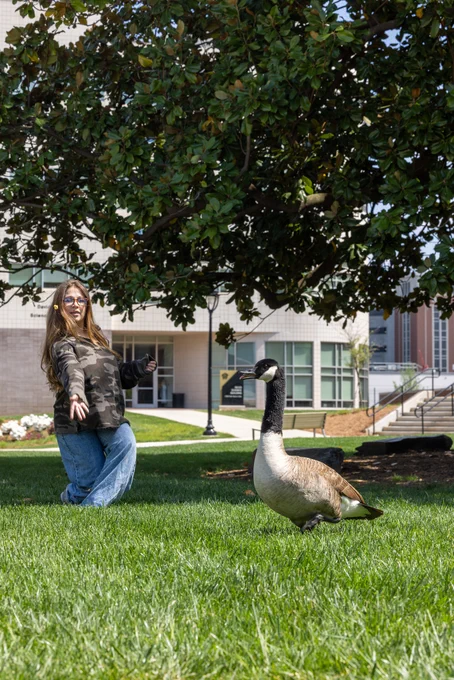 Person crouching under a tree, extending a hand towards a Canada goose on grass.
