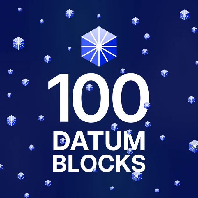 100 DATUM BLOCKS