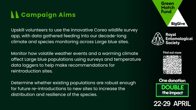 Upskill volunteers to use the Coreo wildlife survey app, with data gathered feeding into our decade-long climate and species monitoring across Large blue sites.

Monitor how volatile weather events and a warming climate affect populations using surveys and temperature data loggers to help make recommendations for reintroduction sites.

Determine whether existing populations are robust enough for future re-introductions to new sites to increase the distribution and resilience of the species.