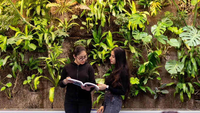 A photograph of students standing in front of a plant wall, engaged in conversation while looking at an open book together.